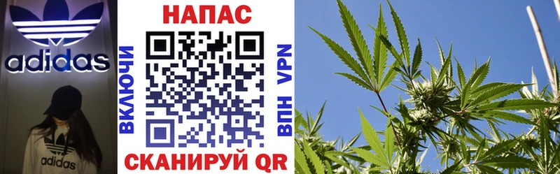 Канабис Bruce Banner omg ТОР Бабушкин